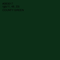 #0B3017 - County Green Color Image