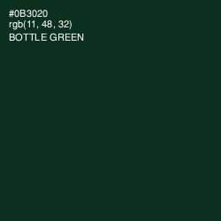 #0B3020 - Bottle Green Color Image