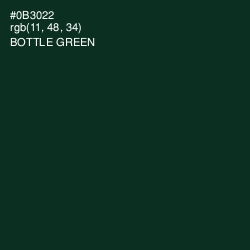 #0B3022 - Bottle Green Color Image
