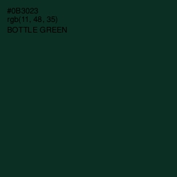 #0B3023 - Bottle Green Color Image