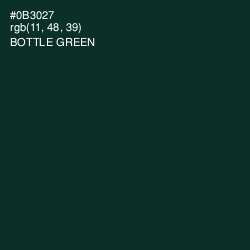 #0B3027 - Bottle Green Color Image