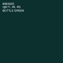 #0B302D - Bottle Green Color Image