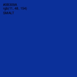 #0B309A - Smalt Color Image