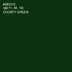 #0B3110 - County Green Color Image