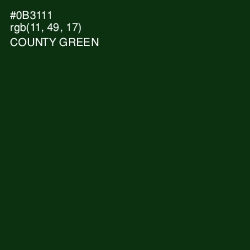 #0B3111 - County Green Color Image