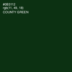 #0B3112 - County Green Color Image