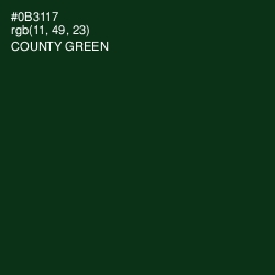 #0B3117 - County Green Color Image