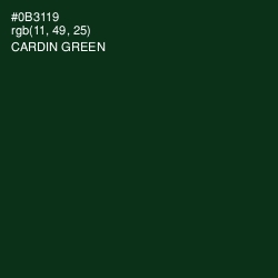 #0B3119 - Cardin Green Color Image