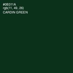 #0B311A - Cardin Green Color Image