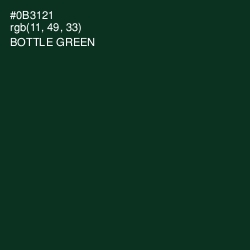 #0B3121 - Bottle Green Color Image