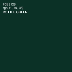 #0B3126 - Bottle Green Color Image