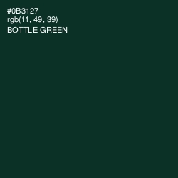 #0B3127 - Bottle Green Color Image