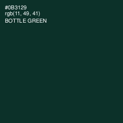 #0B3129 - Bottle Green Color Image