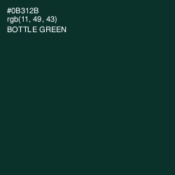 #0B312B - Bottle Green Color Image