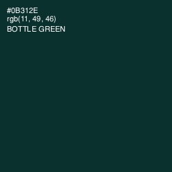 #0B312E - Bottle Green Color Image