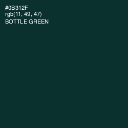 #0B312F - Bottle Green Color Image