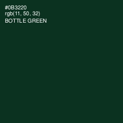 #0B3220 - Bottle Green Color Image