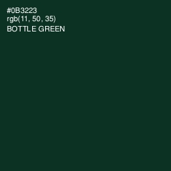 #0B3223 - Bottle Green Color Image