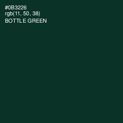 #0B3226 - Bottle Green Color Image