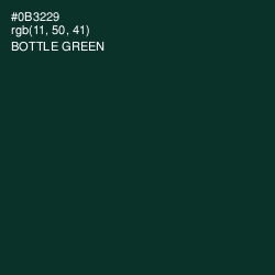 #0B3229 - Bottle Green Color Image