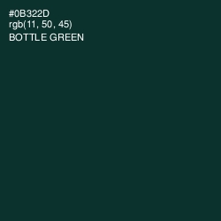 #0B322D - Bottle Green Color Image