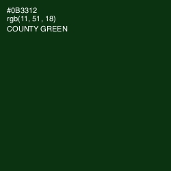 #0B3312 - County Green Color Image