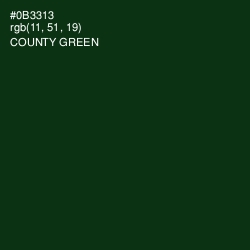 #0B3313 - County Green Color Image