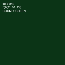 #0B3316 - County Green Color Image