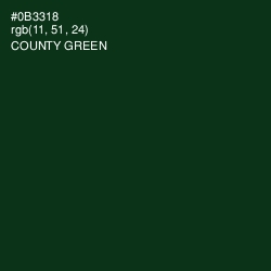 #0B3318 - County Green Color Image
