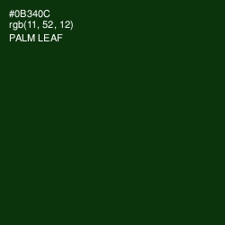 #0B340C - Palm Leaf Color Image