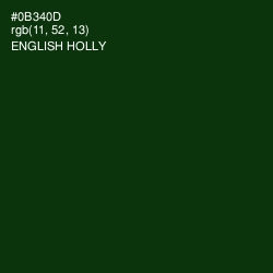 #0B340D - English Holly Color Image