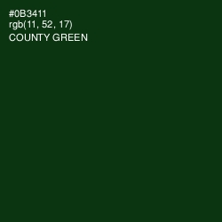 #0B3411 - County Green Color Image