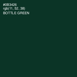 #0B3426 - Bottle Green Color Image