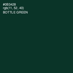 #0B3428 - Bottle Green Color Image