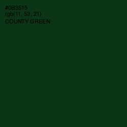 #0B3515 - County Green Color Image