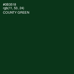 #0B3518 - County Green Color Image