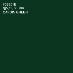 #0B351E - Cardin Green Color Image