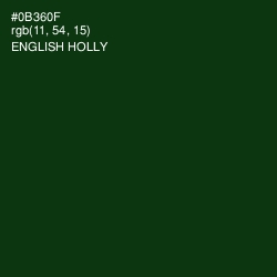 #0B360F - English Holly Color Image