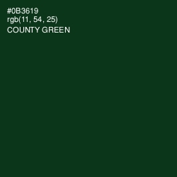 #0B3619 - County Green Color Image