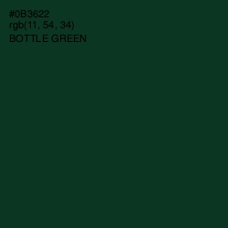 #0B3622 - Bottle Green Color Image