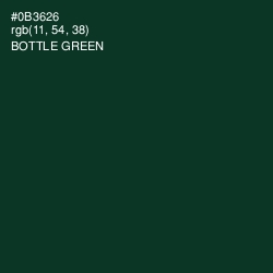 #0B3626 - Bottle Green Color Image