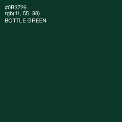 #0B3726 - Bottle Green Color Image