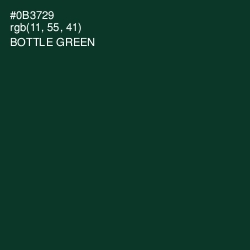 #0B3729 - Bottle Green Color Image