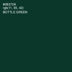 #0B372A - Bottle Green Color Image