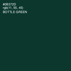 #0B372D - Bottle Green Color Image