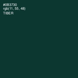 #0B3730 - Tiber Color Image