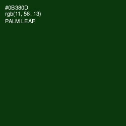 #0B380D - Palm Leaf Color Image