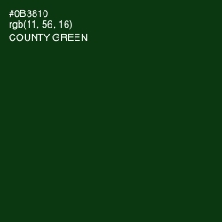 #0B3810 - County Green Color Image