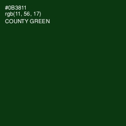 #0B3811 - County Green Color Image