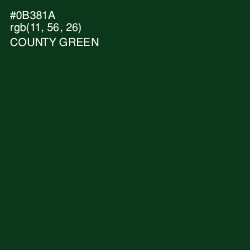 #0B381A - County Green Color Image